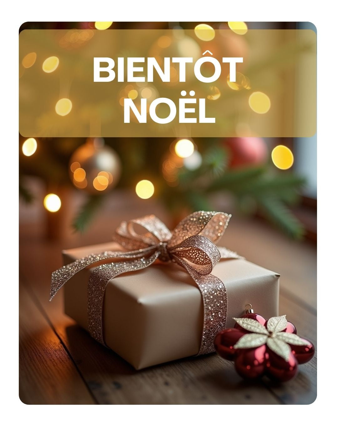 Bientôt-Noël Le coffre à jouets
