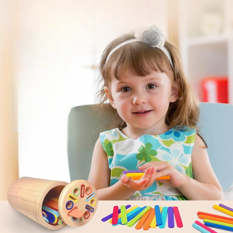 Jouet d'apprentissage en bois (2-5ans) Le coffre à jouets